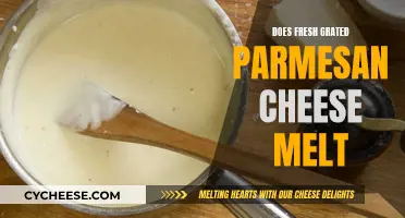 Fresh Grated Parmesan: Melting Magic or Misstep?
