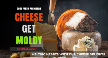 Fresh Parmesan: Does it Get Moldy?