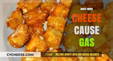 Does Fried Cheese Cause Gas? Unraveling the Truth Behind the Bloating