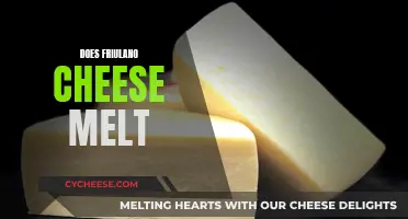 Friulano Cheese Melting: The Ultimate Guide to Perfection