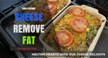 Frying Cheese: Does It Reduce Fat Content or Add Calories?