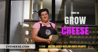 Does GA Grow Cheese? Unraveling the Myth and Reality