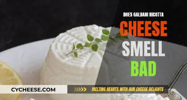 Galbani Ricotta Cheese: Why the Smell?