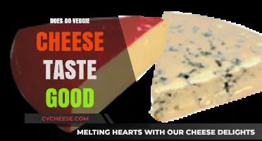 Veggie Cheese: Delicious or Disgusting?