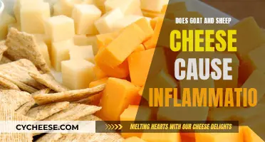 Goat and Sheep Cheese: Anti-Inflammatory or Inflammatory?