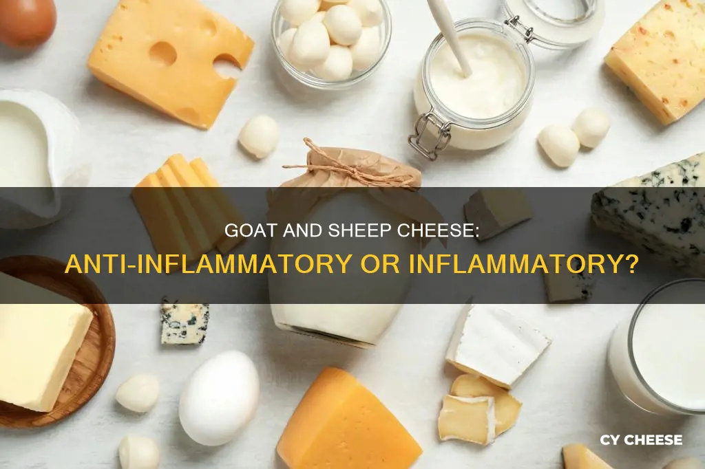 does goat and sheep cheese cause inflammation