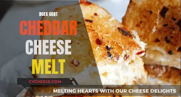 Goat Cheddar's Melting Mystery: Can It Be Done?