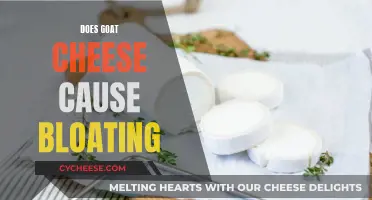 Unraveling the Mystery: Does Goat Cheese Cause Bloating?