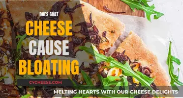 Goat Cheese and Bloating: Is There a Connection?