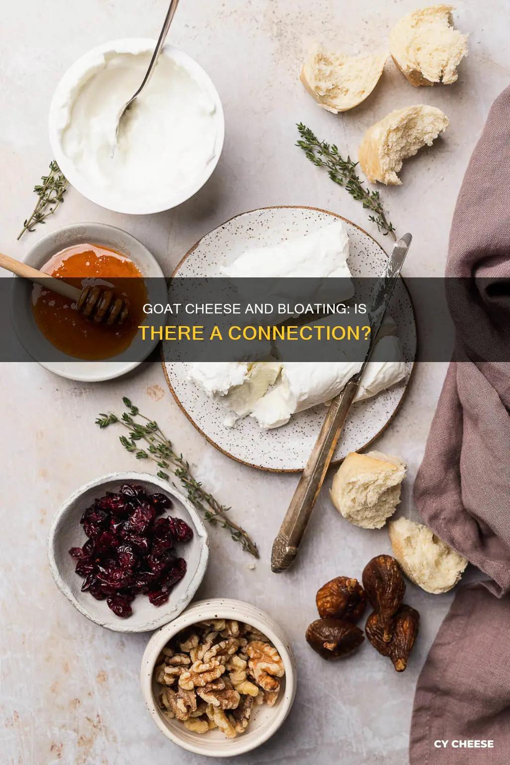 does goat cheese cause bloating