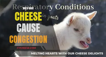 Unraveling the Mystery: Goat Cheese and Congestion