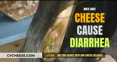 Unraveling the Myth: Goat Cheese and Diarrhea