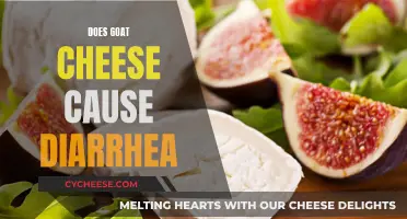Goat Cheese and Diarrhea: Is There a Link?