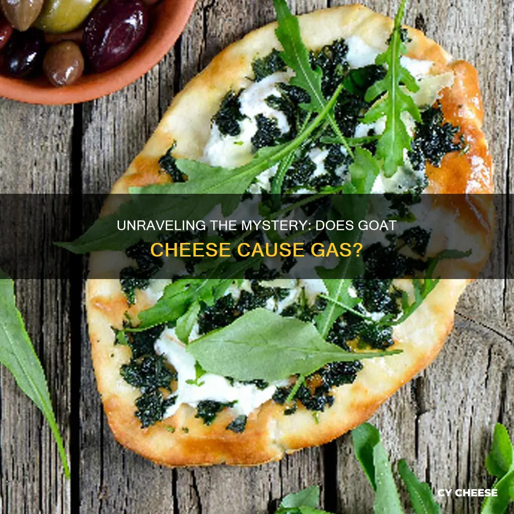 does goat cheese cause gas