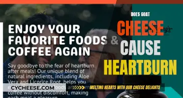 Goat Cheese and Heartburn: Unraveling the Mystery