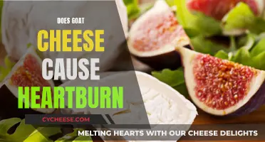 Goat Cheese and Heartburn: What's the Connection?