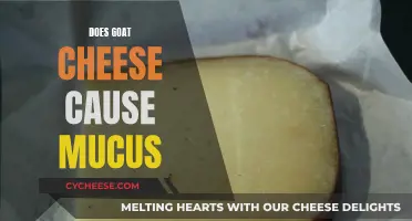 Goat Cheese and Mucus: Unraveling the Mystery