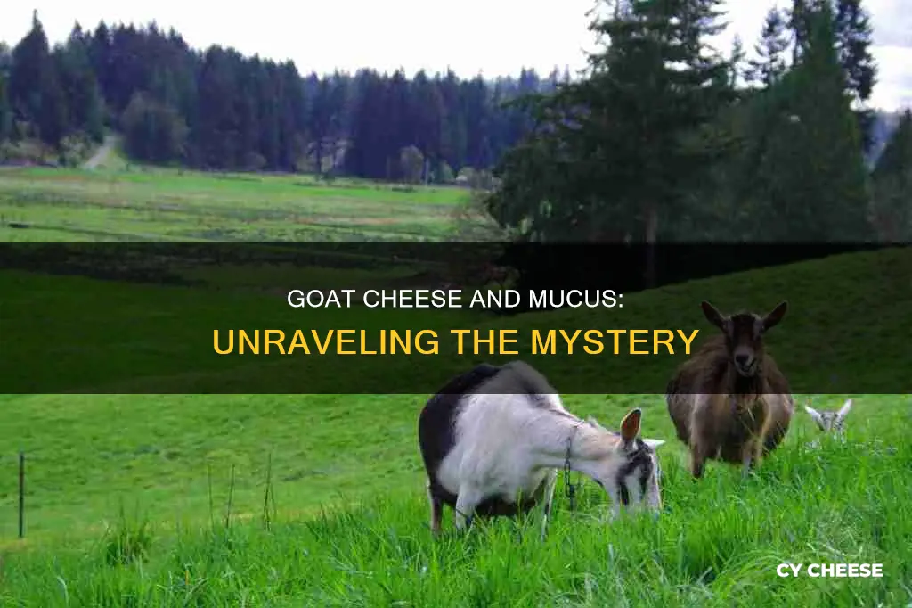 does goat cheese cause mucus