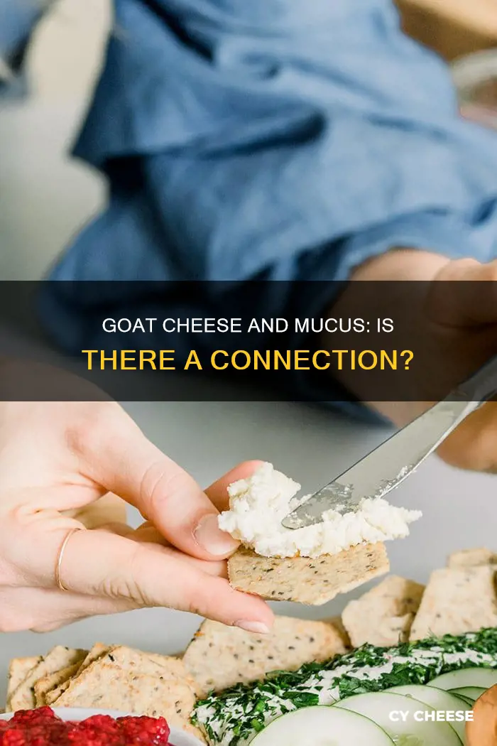 does goat cheese cause mucus