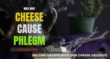 Unraveling the Mystery: Goat Cheese and Phlegm