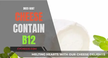 Goat Cheese: B12 Boost or Bust?