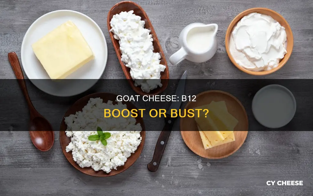 does goat cheese contain b12