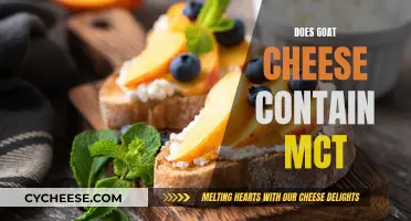 Goat Cheese and MCTs: Unlocking the Nutritional Secrets