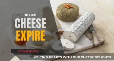 Goat Cheese's Shelf Life: Does It Go Bad?