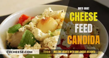 Goat Cheese and Candida: Unraveling the Mystery of a Healthy Diet