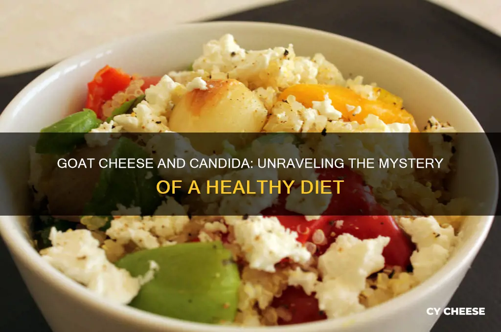 does goat cheese feed candida