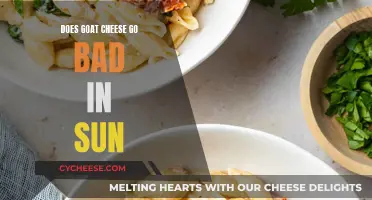 Goat Cheese and Sun: A Bad Combination?