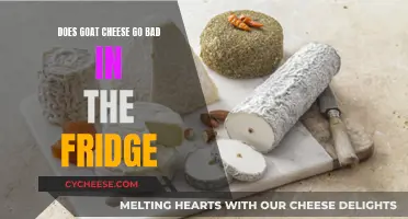 Goat Cheese's Fridge Fate: Does It Spoil?