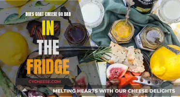 Goat Cheese: Fridge Storage and Shelf Life