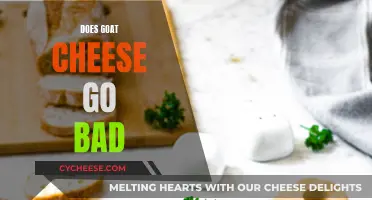 Goat Cheese's Shelf Life: Does It Go Bad?