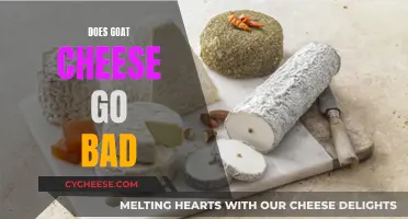 Goat Cheese: How Long Does It Last?