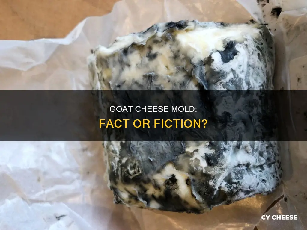 does goat cheese have a lot of mold