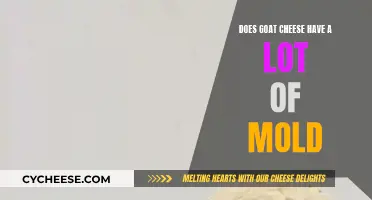Goat Cheese Mold: Is It Safe to Eat?
