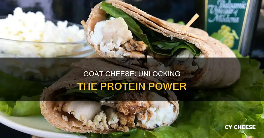 does goat cheese have a ot of protein