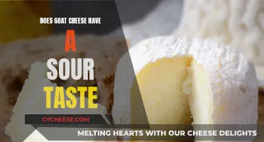 Goat Cheese: A Sour Taste Experience?