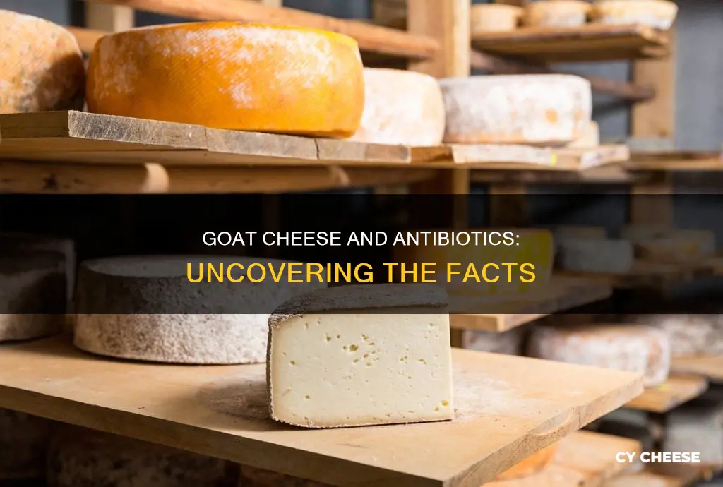 does goat cheese have antibiotics