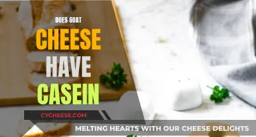 Goat Cheese: Casein-Free Delight or Dairy Disguise?