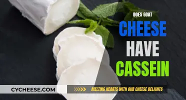 Goat Cheese's Casein: Unraveling the Mystery of a Dairy Dilemma