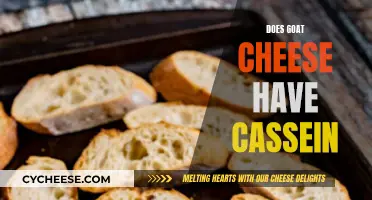 Goat Cheese and Casein: What's the Connection?
