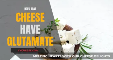 Goat Cheese: Glutamate Content and Flavor Profile