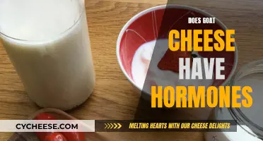 Goat Cheese Hormones: Unveiling the Truth Behind the Creamy Delight