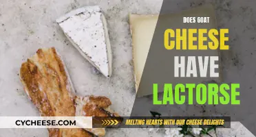 Goat Cheese and Lactose: What's the Deal?