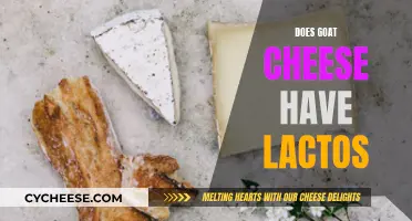 Goat Cheese and Lactose: What's the Deal?