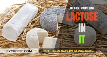 Goat Cheese and Lactose: What's the Deal?