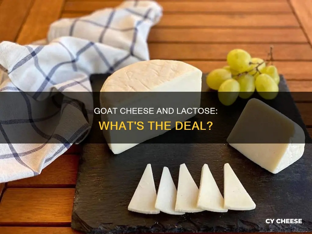 does goat cheese have lactose in it