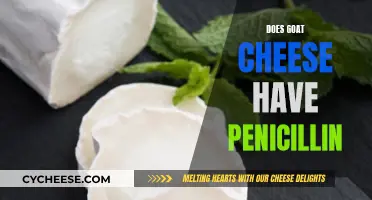 Unraveling the Myth: Goat Cheese and Penicillin